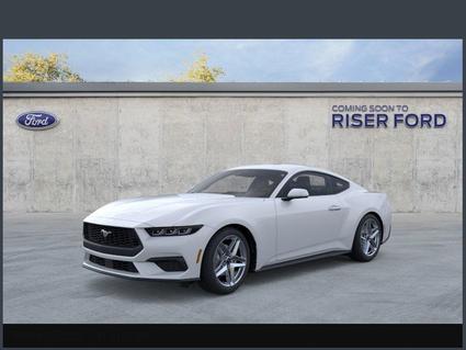 2025 Ford Mustang Hot Springs AR