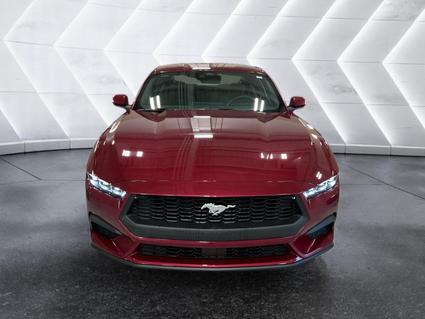 2025 Ford Mustang Evansville IN