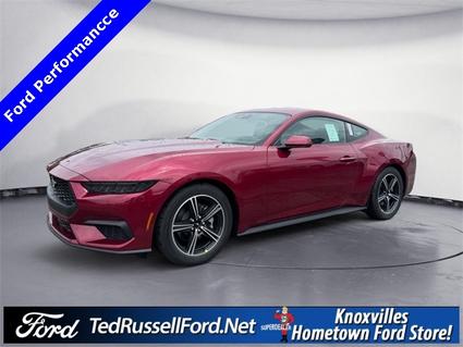 2025 Ford Mustang Knoxville TN