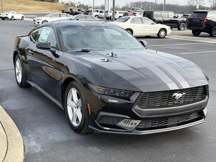 2026 Ford Mustang Springfield TN