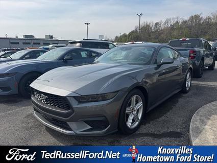 2026 Ford Mustang Knoxville TN
