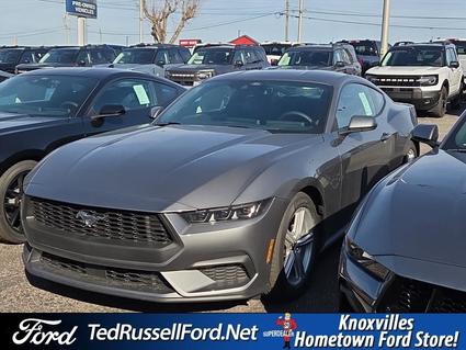 2026 Ford Mustang Knoxville TN