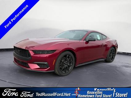 2026 Ford Mustang Knoxville TN