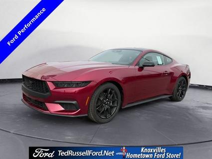 2026 Ford Mustang Knoxville TN