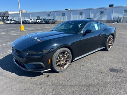 2026 Ford Mustang Paducah KY