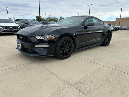 2019 Ford Mustang Katy TX