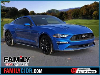 2019 Ford Mustang Commerce TX