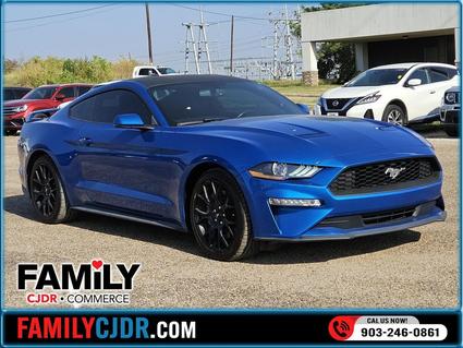 2019 Ford Mustang Commerce TX