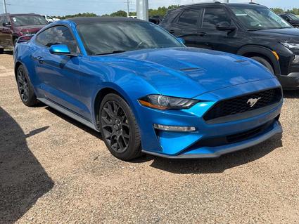 2019 Ford Mustang Commerce TX