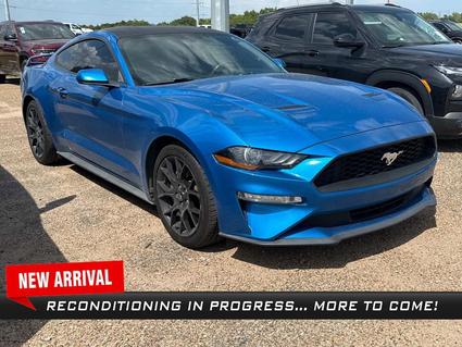 2019 Ford Mustang Commerce TX