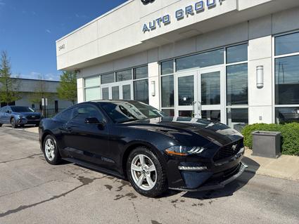 2020 Ford Mustang Lexington KY