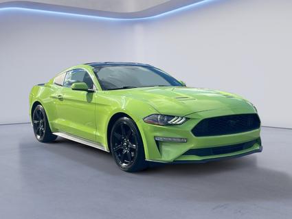 2020 Ford Mustang Oak Ridge TN