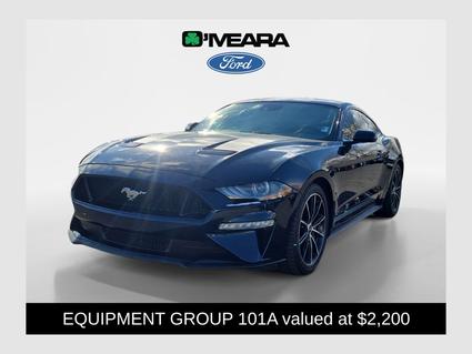 2021 Ford Mustang Denver CO