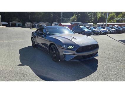 2021 Ford Mustang Lebanon VA