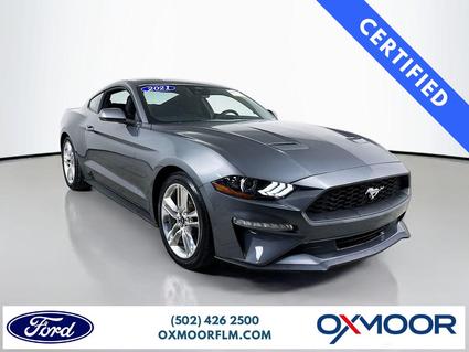 2021 Ford Mustang Louisville KY