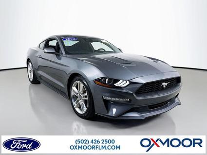 2021 Ford Mustang Louisville KY