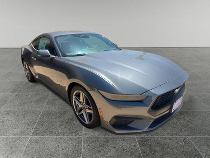 2025 Ford Mustang Levelland TX