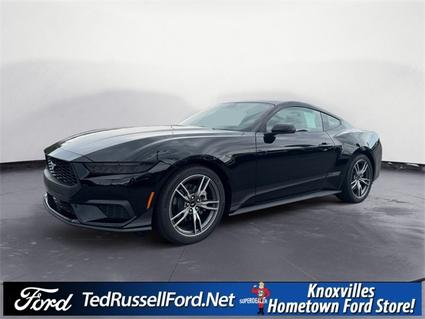 2025 Ford Mustang Knoxville TN