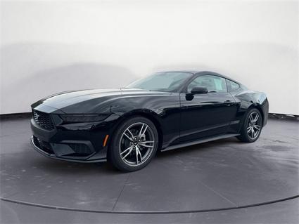 2025 Ford Mustang Knoxville TN