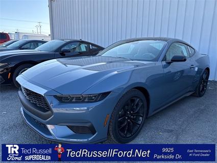 2026 Ford Mustang Knoxville TN