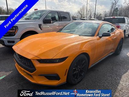 2026 Ford Mustang Knoxville TN