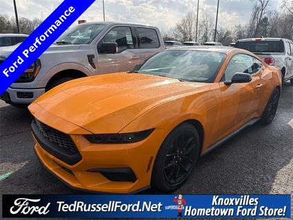 2026 Ford Mustang Knoxville TN