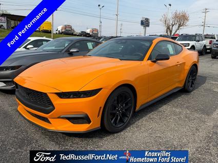 2026 Ford Mustang Knoxville TN