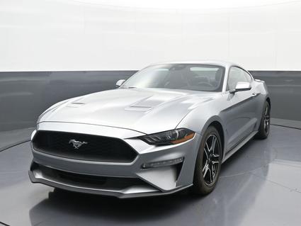2023 Ford Mustang Louisville KY