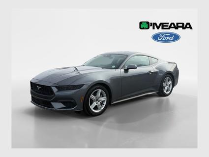 2026 Ford Mustang Denver CO