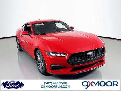 2026 Ford Mustang Louisville KY