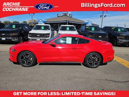 2019 Ford Mustang Billings MT