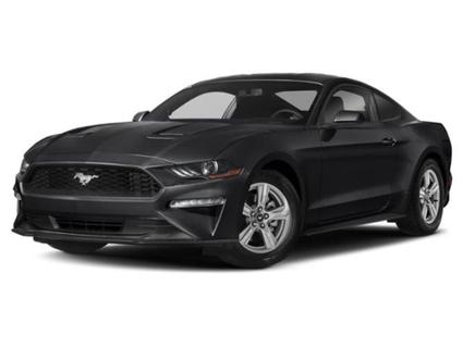 2019 Ford Mustang Billings MT