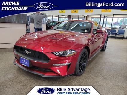 2019 Ford Mustang Billings MT