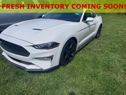 2020 Ford Mustang Madison AL