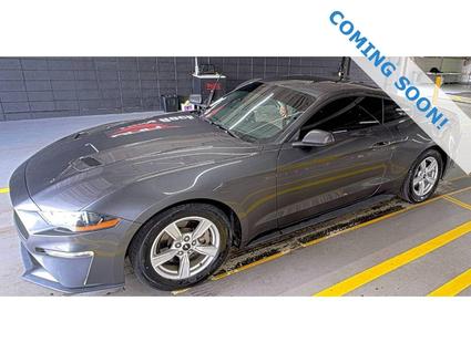 2020 Ford Mustang Murfreesboro TN