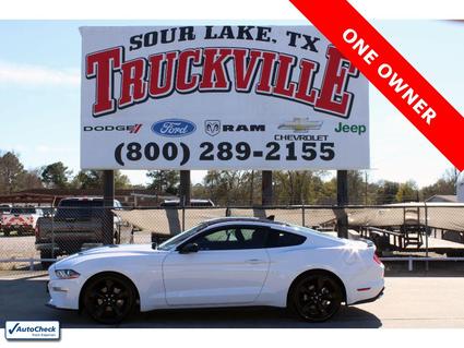 2022 Ford Mustang Sour Lake TX