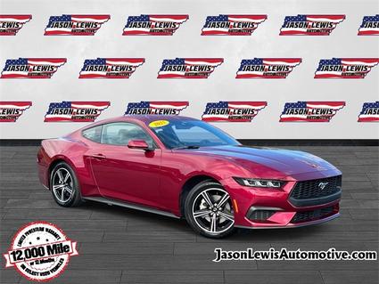 2025 Ford Mustang Sparta TN