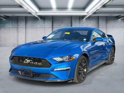 2019 Ford Mustang Patchogue NY