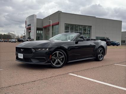 2024 Ford Mustang Hernando MS