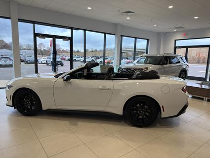 2026 Ford Mustang Martin TN