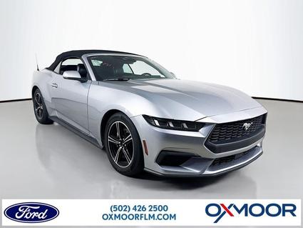 2024 Ford Mustang Louisville KY