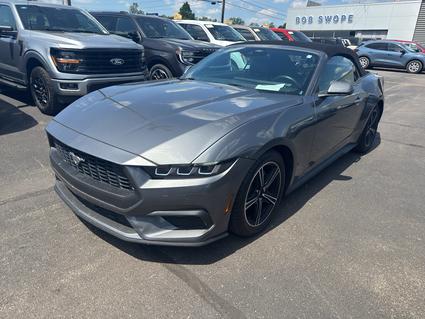 2025 Ford Mustang Elizabethtown KY