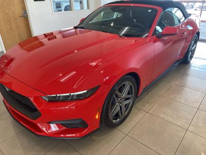 2025 Ford Mustang Sparta IL