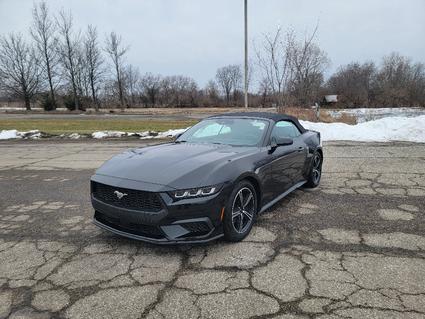 2024 Ford Mustang Mooresville IN