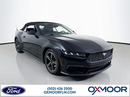 2024 Ford Mustang Louisville KY