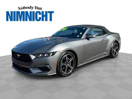 2024 Ford Mustang Jacksonville FL