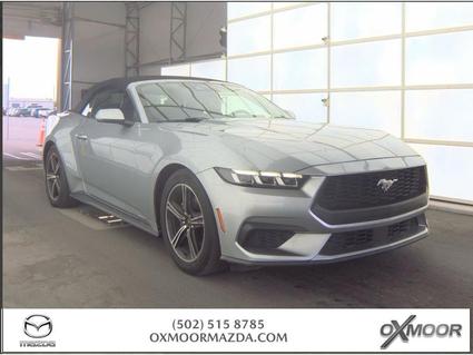 2024 Ford Mustang Louisville KY