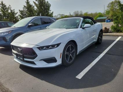 2024 Ford Mustang Battle Creek MI