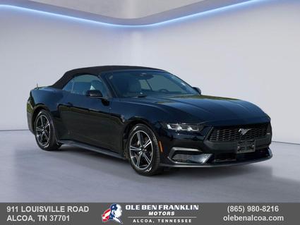 2024 Ford Mustang Knoxville TN