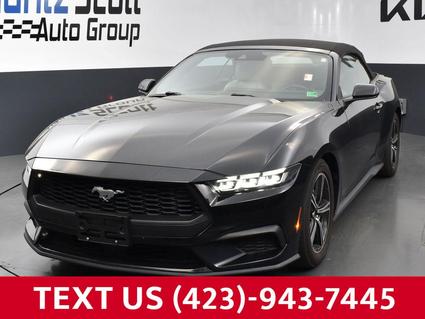 2024 Ford Mustang Kingsport TN